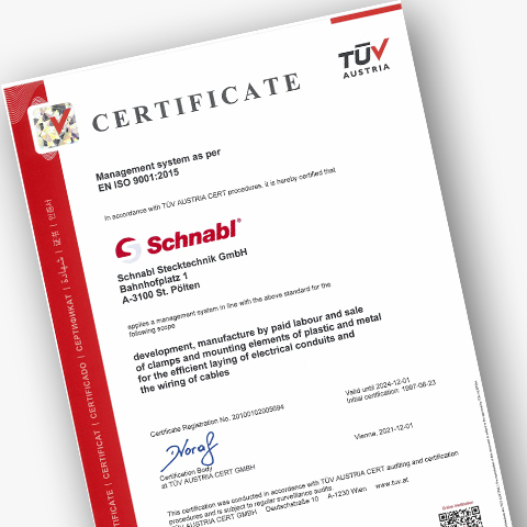 Download certificate for Schnabl Management TÜV